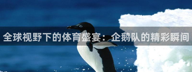 全球视野下的体育盛宴：企鹅队的精彩瞬间