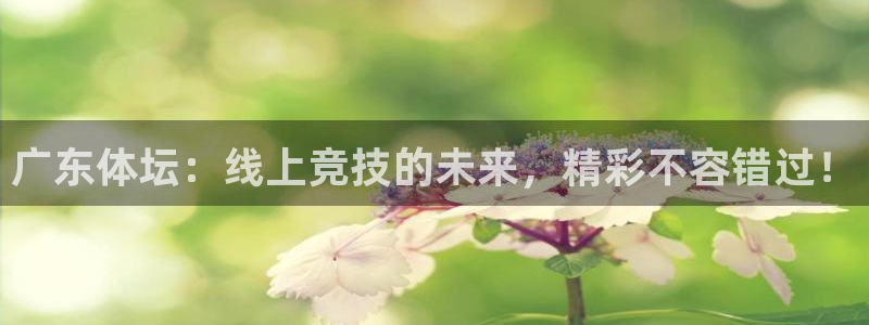 广东体坛：线上竞技的未来，精彩不容错过！