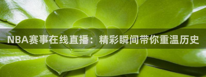 NBA赛事在线直播：精彩瞬间带你重温历史