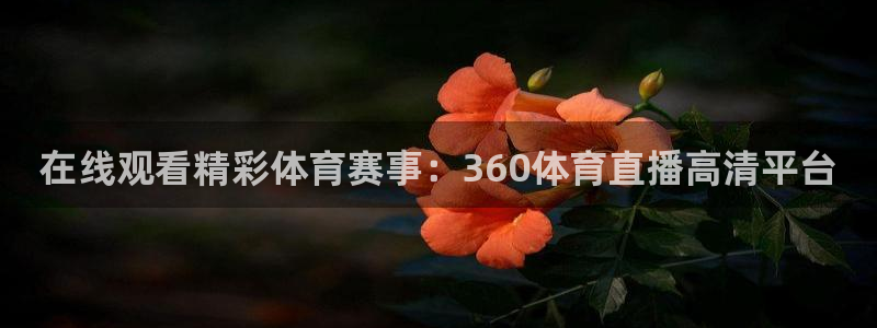 在线观看精彩体育赛事：360体育直播高清平台