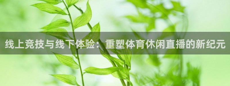 线上竞技与线下体验：重塑体育休闲直播的新纪元