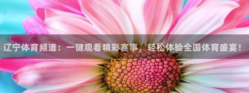 辽宁体育频道：一键观看精彩赛事，轻松体验全国体育盛宴！