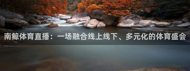 南鲸体育直播：一场融合线上线下、多元化的体育盛会