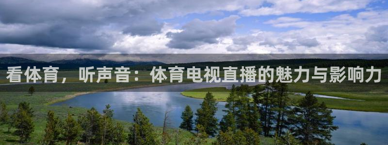看体育，听声音：体育电视直播的魅力与影响力
