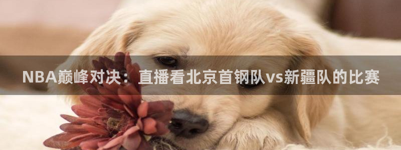 NBA巅峰对决：直播看北京首钢队vs新疆队的比赛